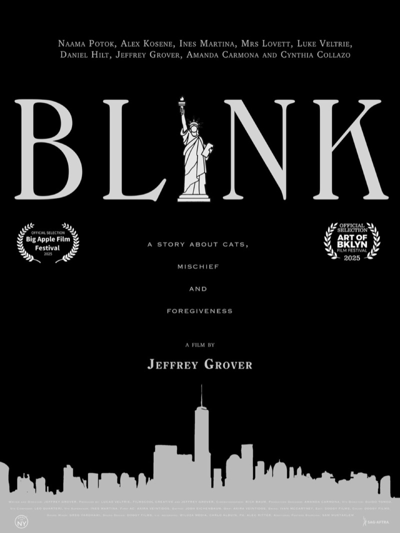 Blink poster