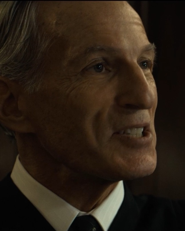 Jeffrey Grover as Judge Liebowitz in The Alto Knights